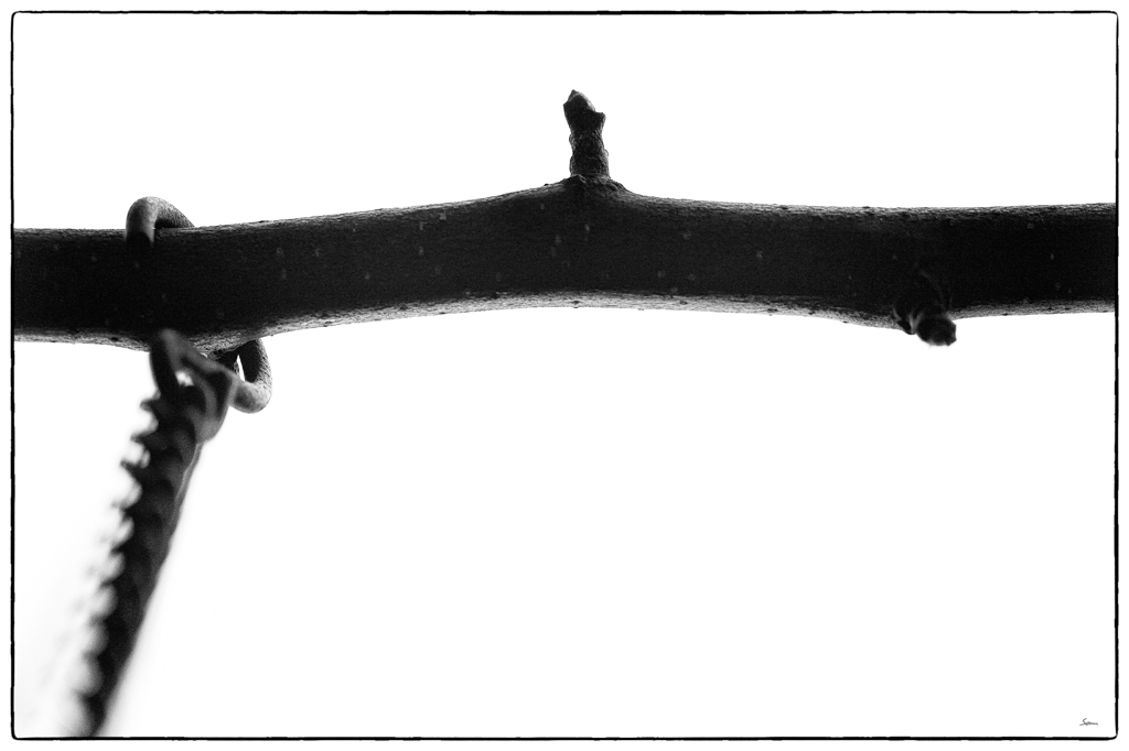 Hangen PZ15768