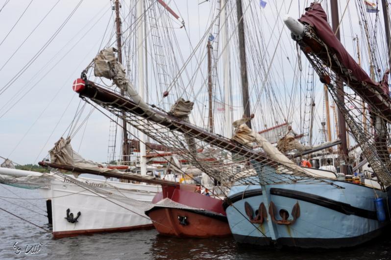 Hanse-Sail in Rostock