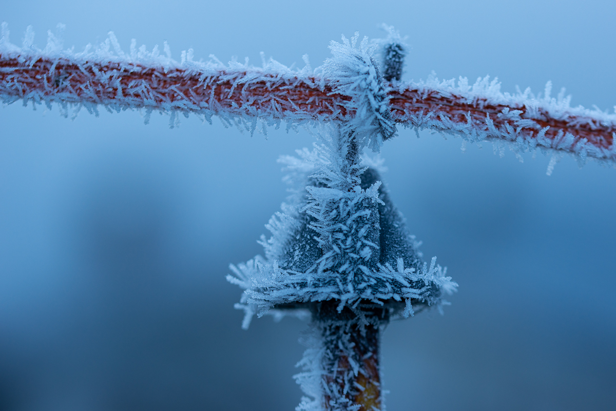 HAR_0035-2.jpg
