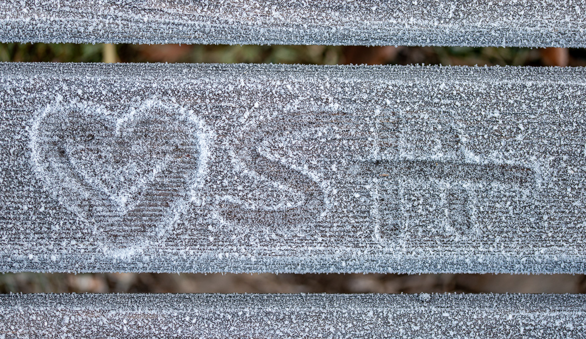 HAR_0339-3.jpg