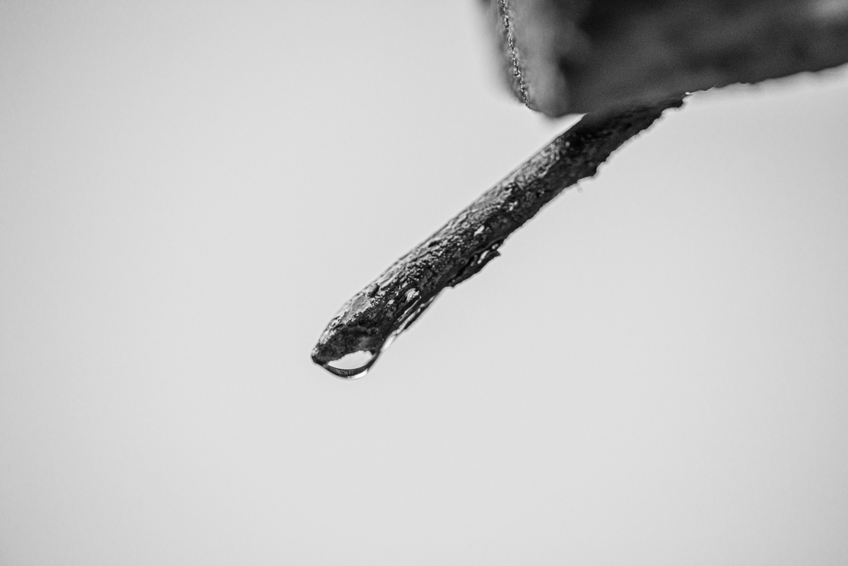 HAR_6679-3.jpg