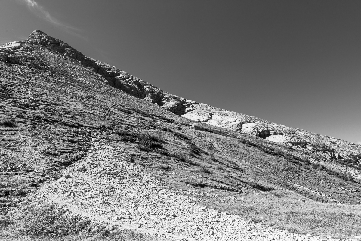 HAR_7071-3.jpg