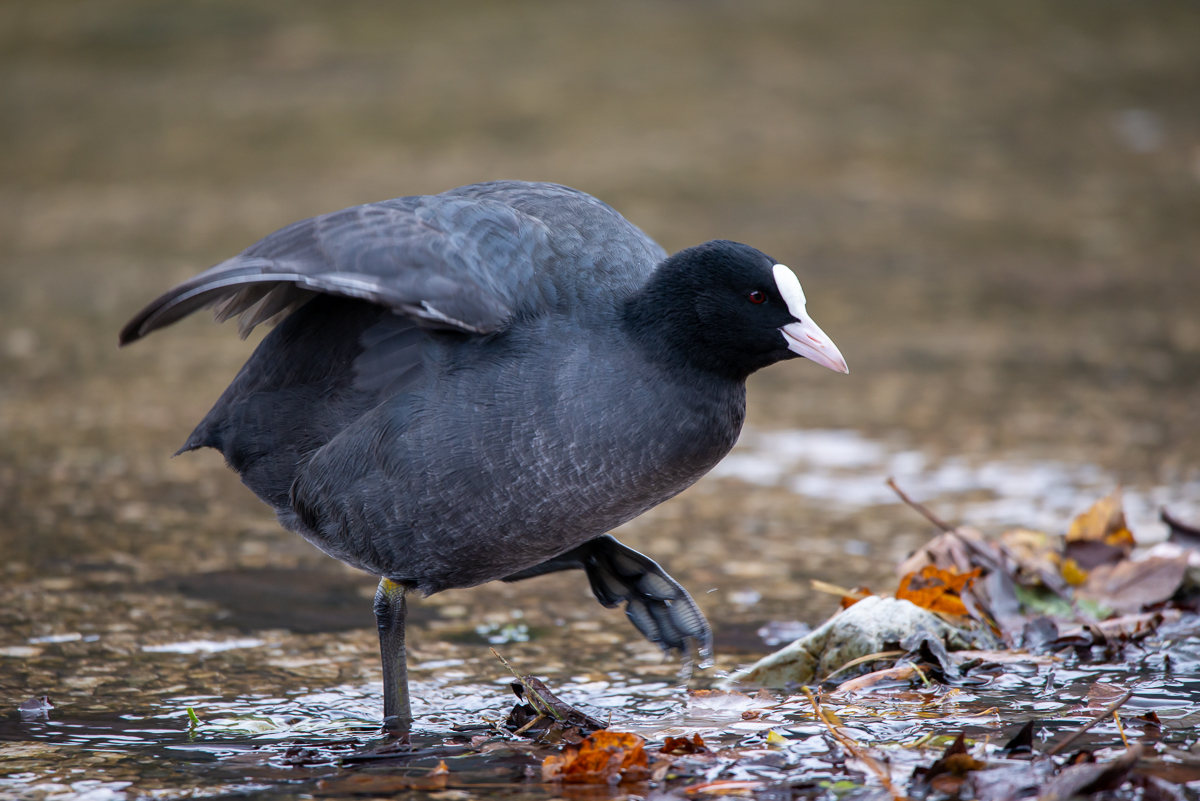 HAR_9022-2.jpg