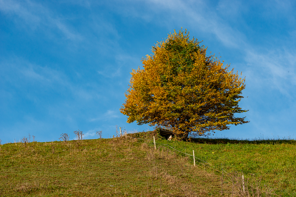 HAR_9216-2.jpg