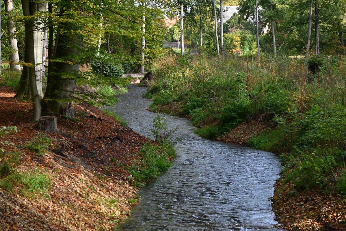 Hardau bei Holdenstedt.jpg
