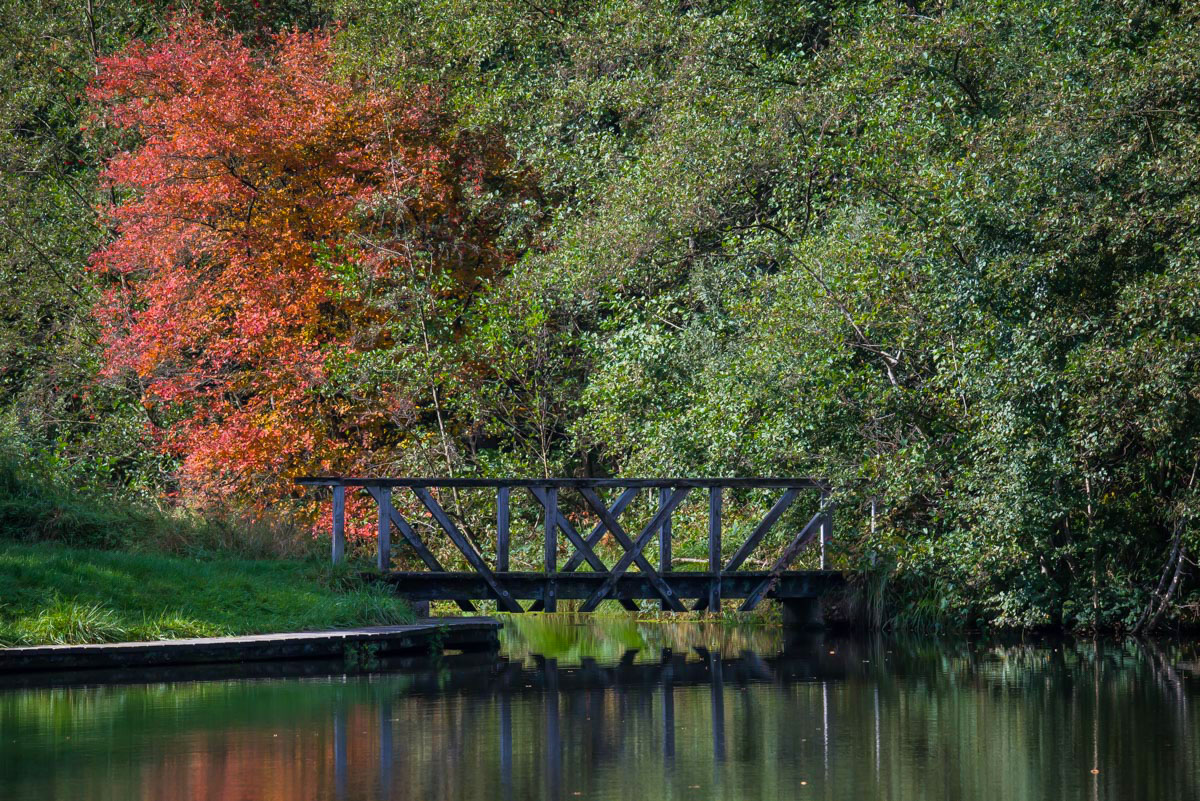 Hardaubrücke herbstlich (1 von 1).jpg