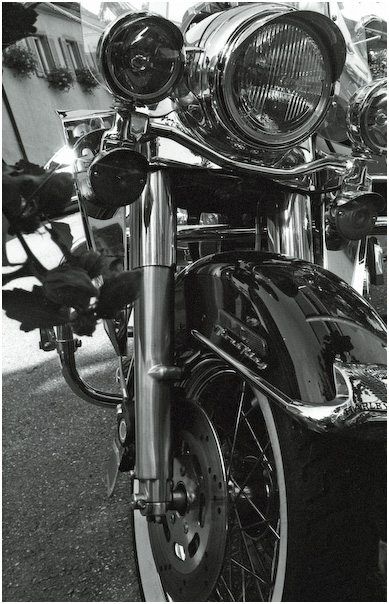 harley