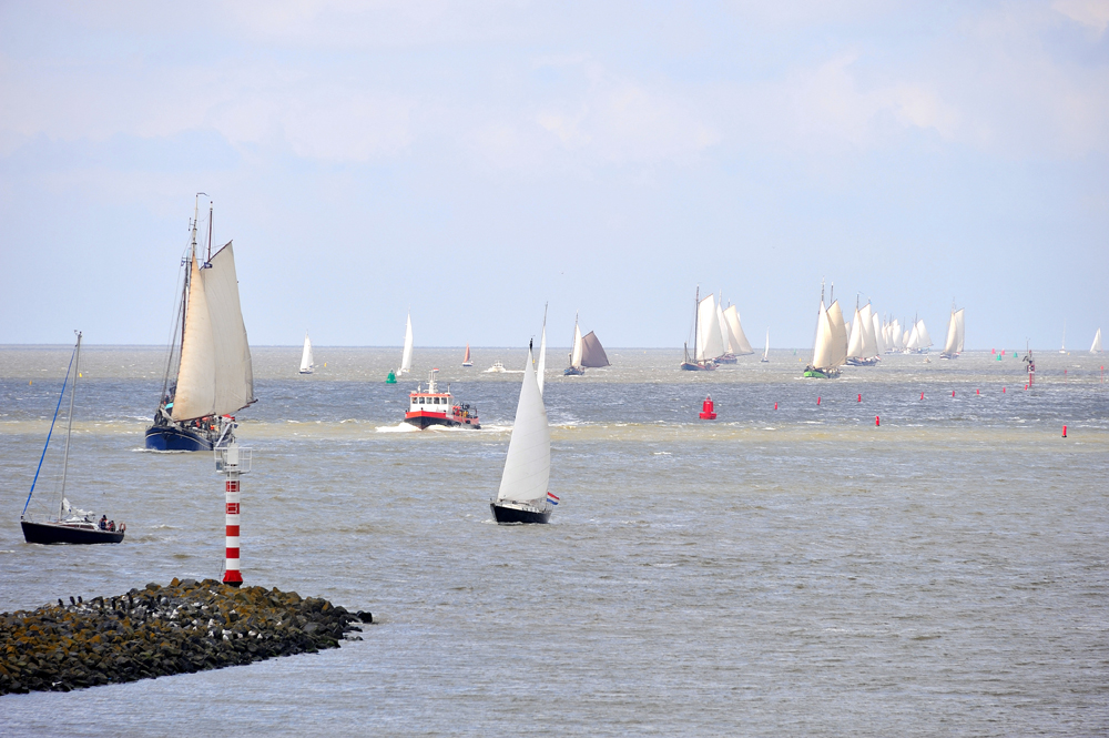 Harlingen Kojenwechsel.jpg