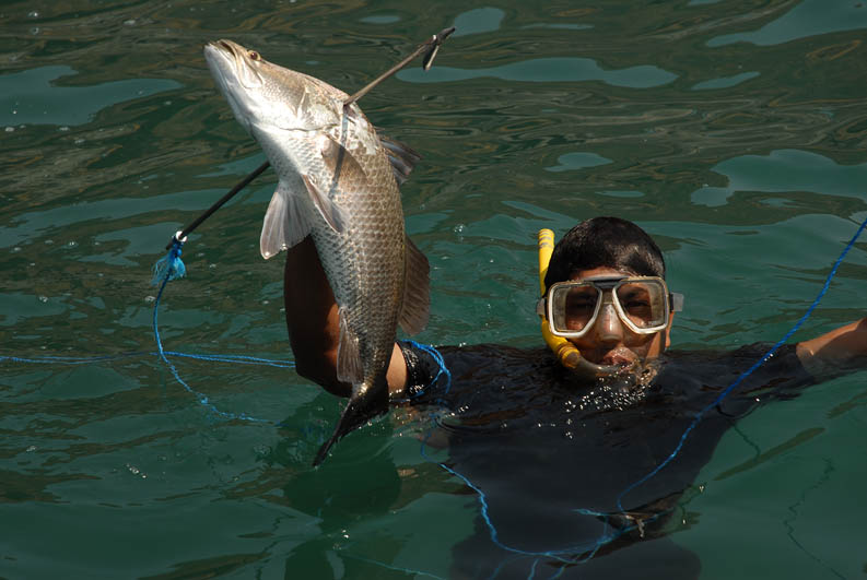 Harpoon fishing