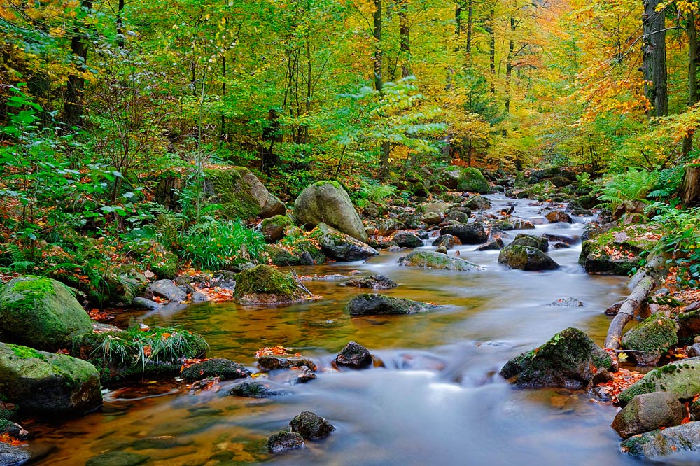 Harz