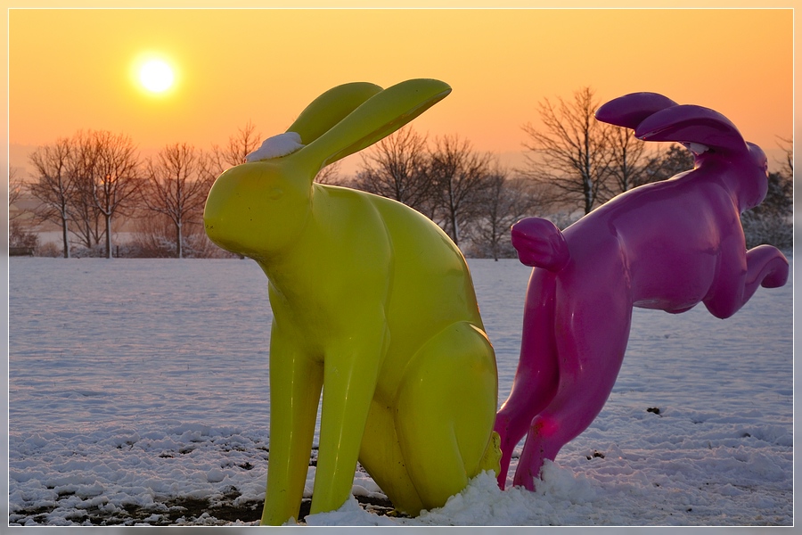 Hasen in Ostfildern im Abendlicht - Kunst? ;)