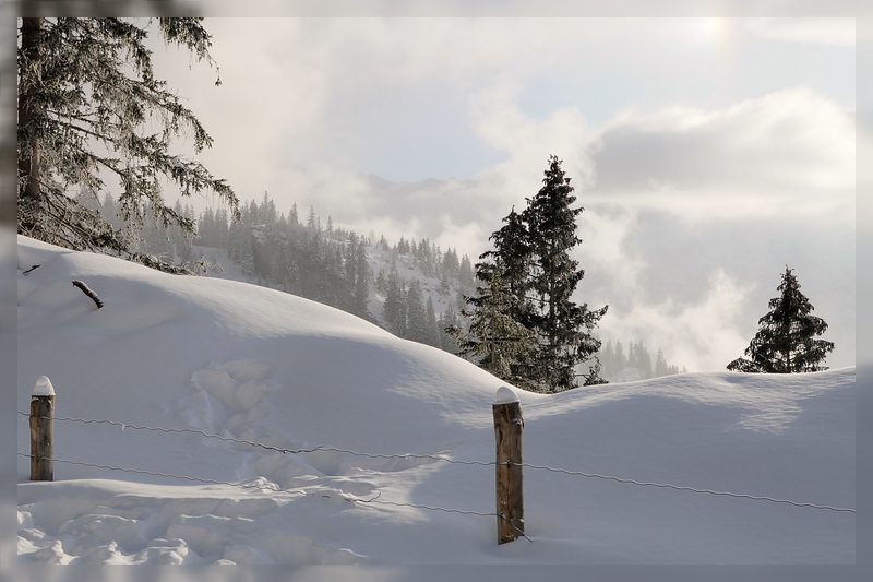 Hasliberge