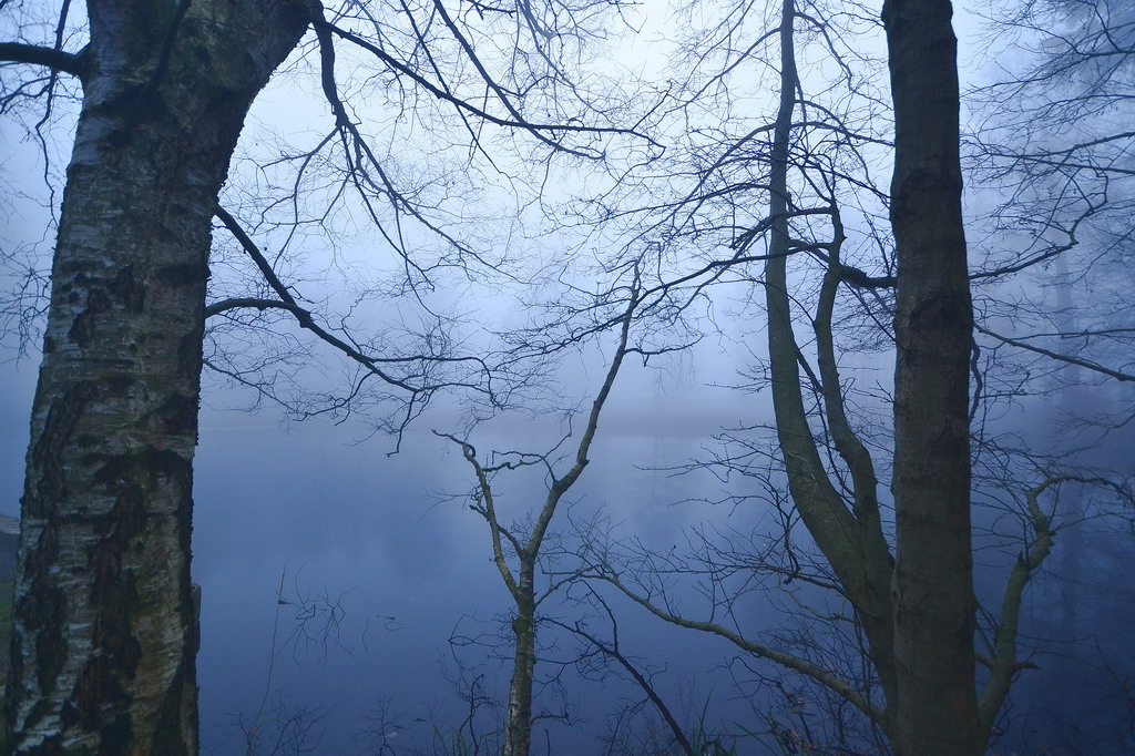 Hasselteich im Nebel