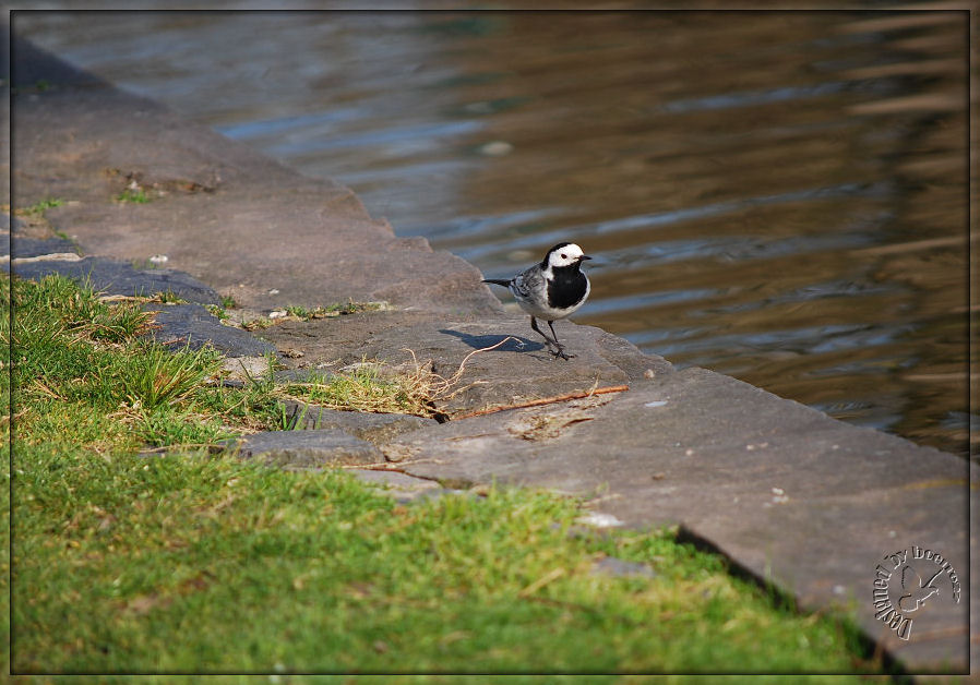 Haste für mich.......auch ein paar Brotkrümel übrig ?