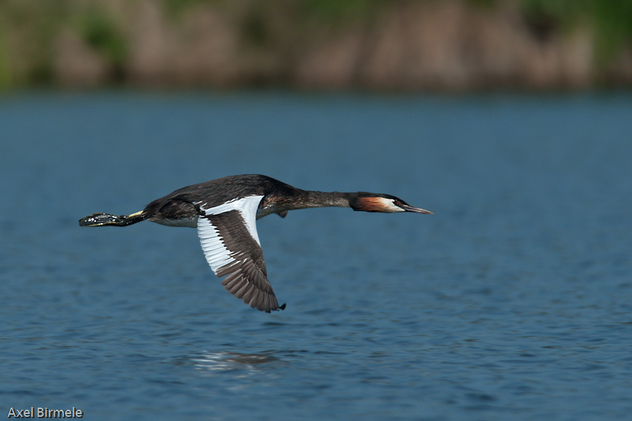 Haubi im Flug 10B 5453 bearbeitet 23. Mai 2010 001