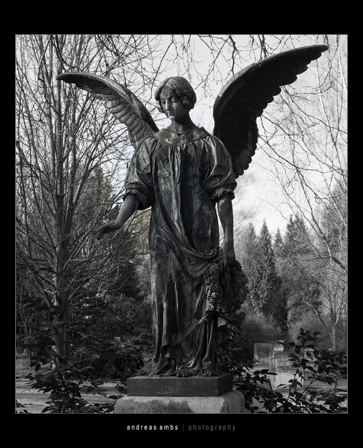 Hauptfriedhof Goettingen 0042 Kopie