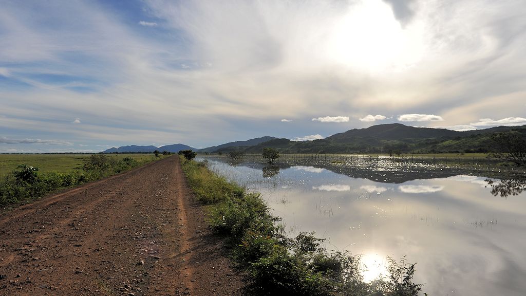 Hauptstrasse durch Guyana
0534