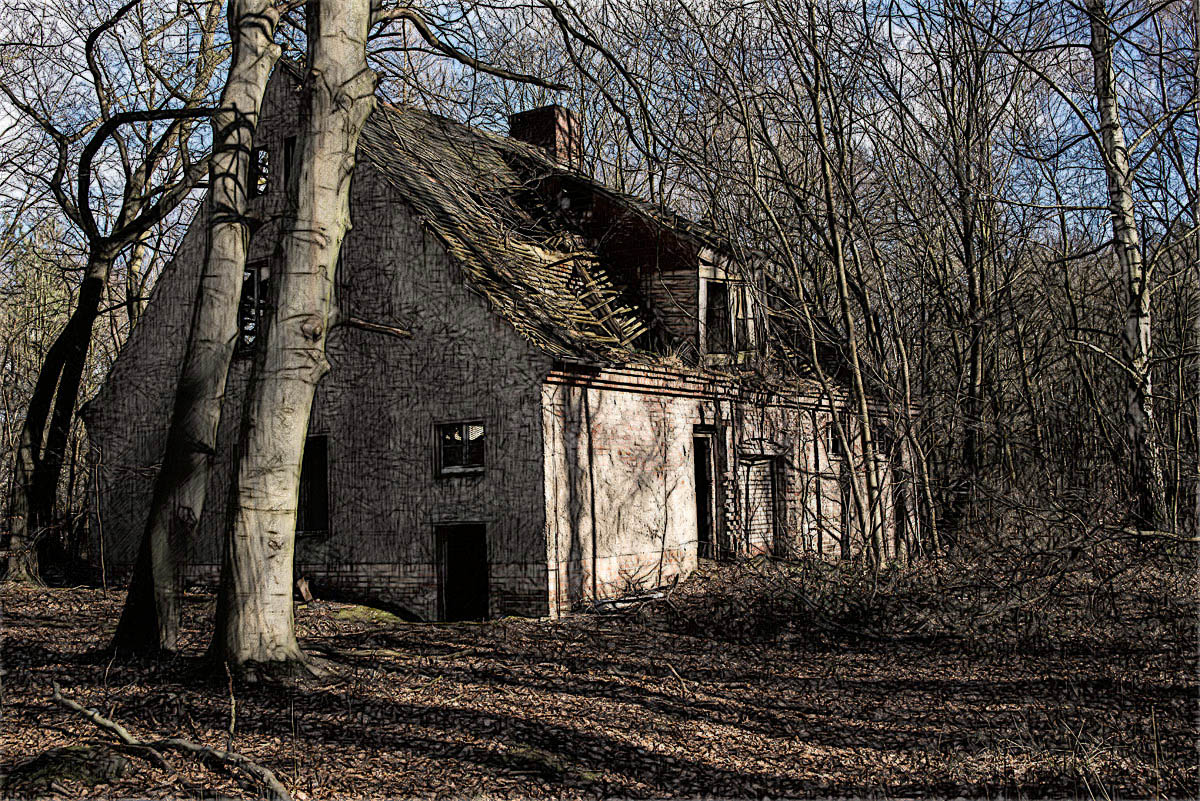Haus im Wald 2