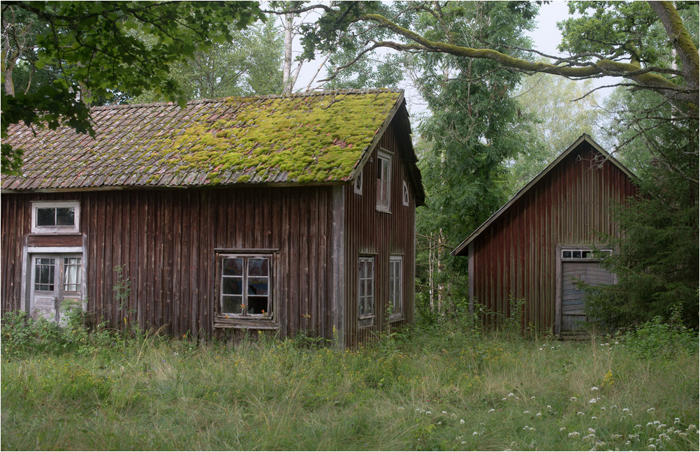 haus im wald10