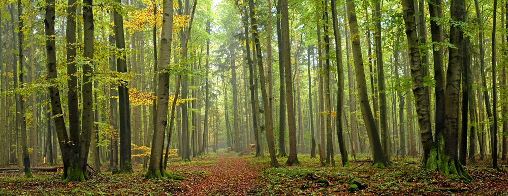 HDR, drei mal links und drei mal rechts, mir Panorama- Programm zusammengesetzt.