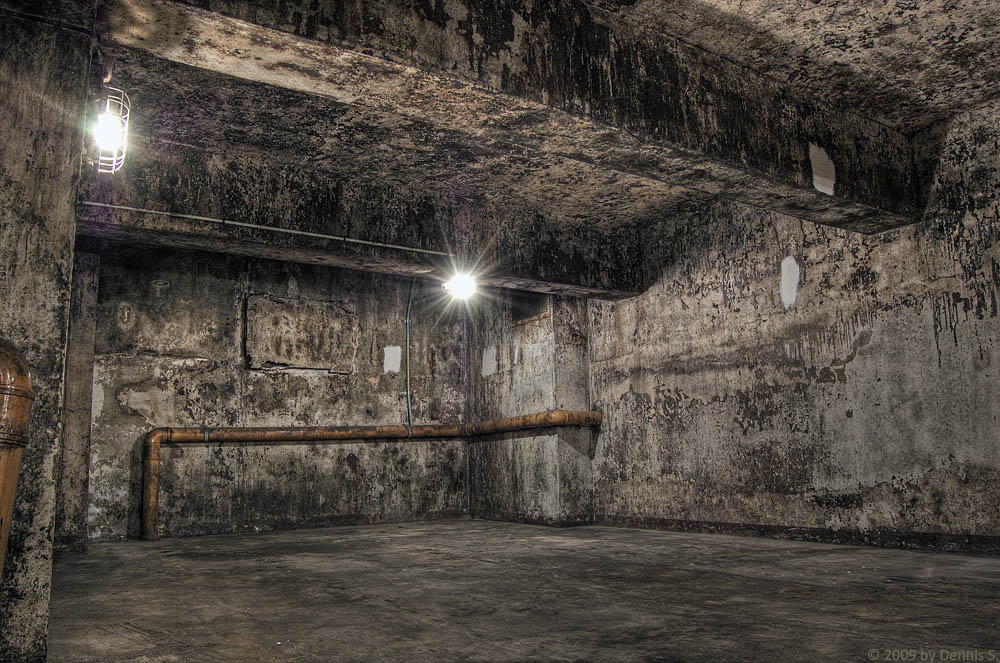 HDR SCUM MILDEW 2 BY DENNIS S