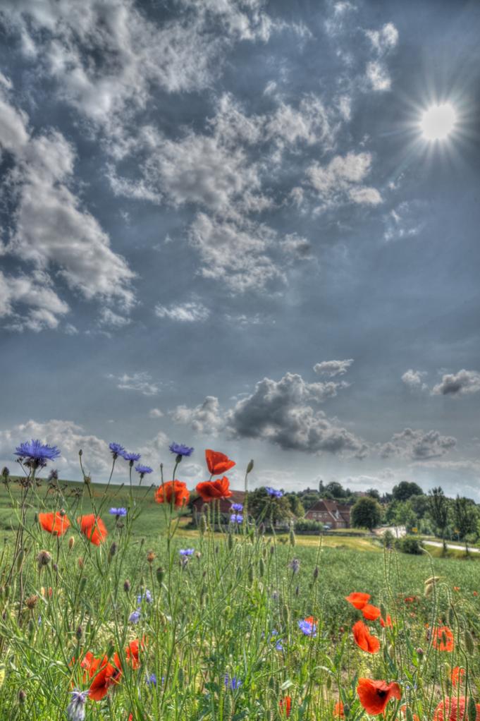 HDR1