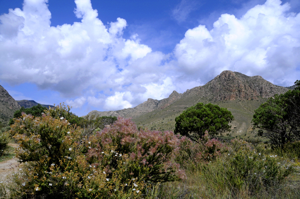 HED3633Guadeloupe National Park3
