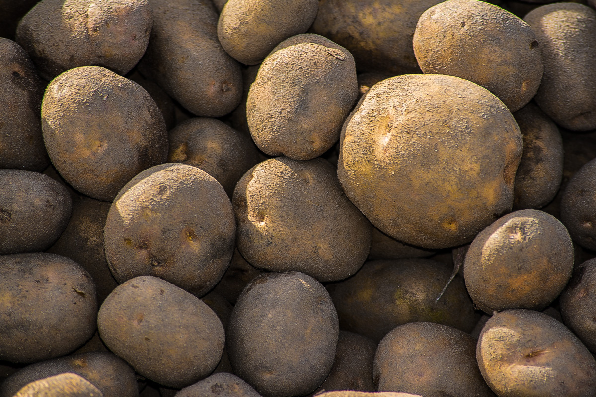 Heidegold-0209.JPG