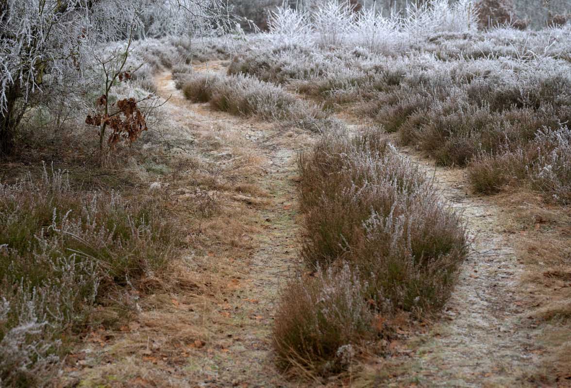 Heideweg 1.jpg