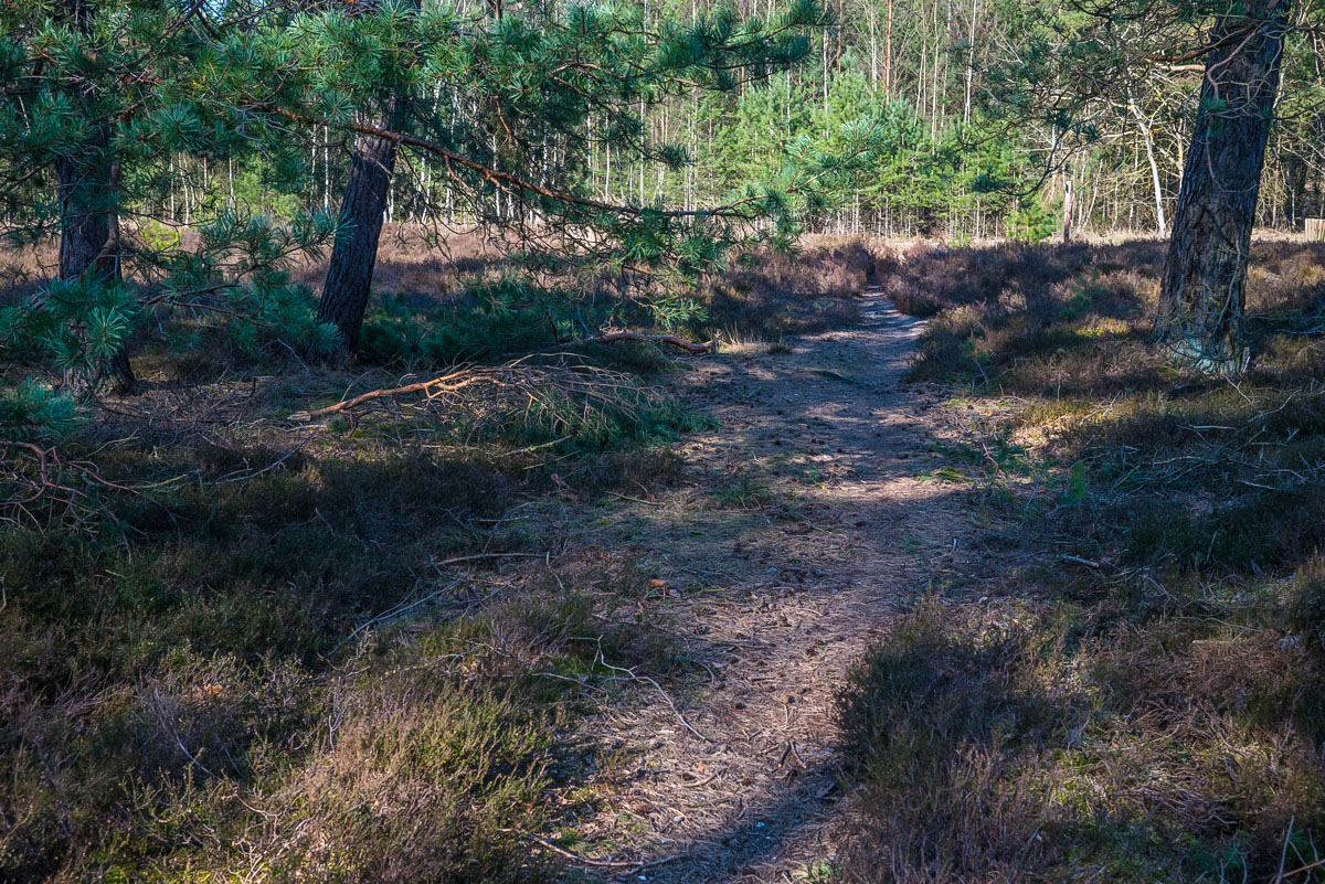 Heideweg (1 von 1).jpg