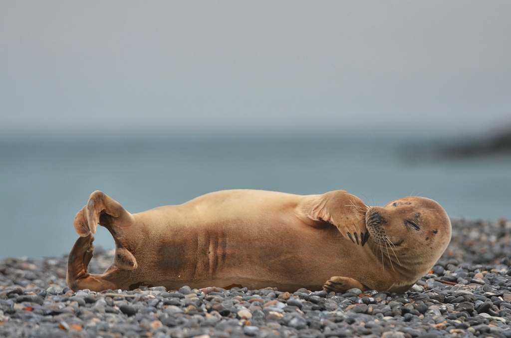 Helgoland 3 0381
Kleines Kunststückchen - versuch das auch mal!