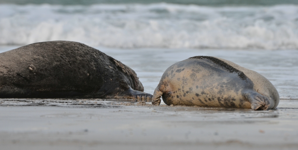 Helgoland 3 0892
Kleine Romanze am Strand II