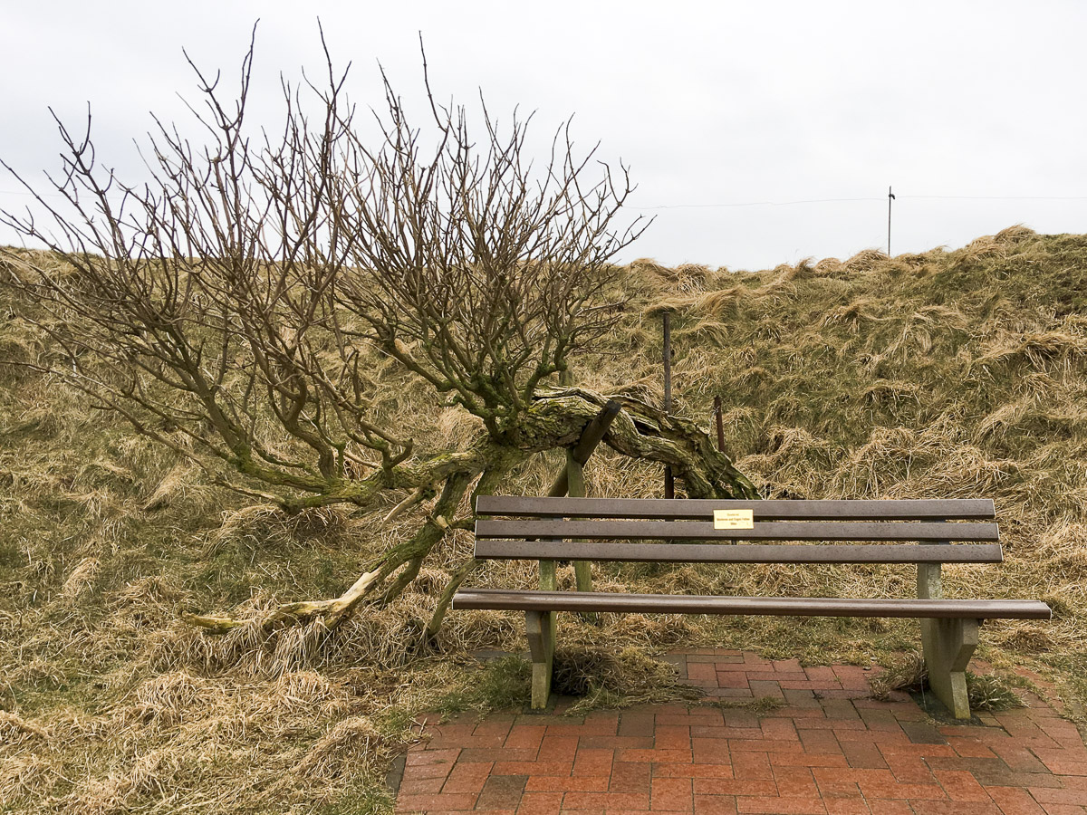 Helgoland Bank3