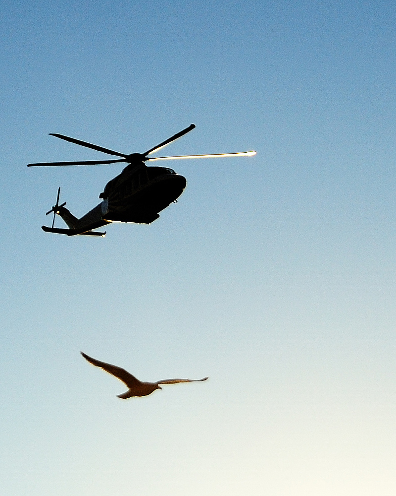 heli1