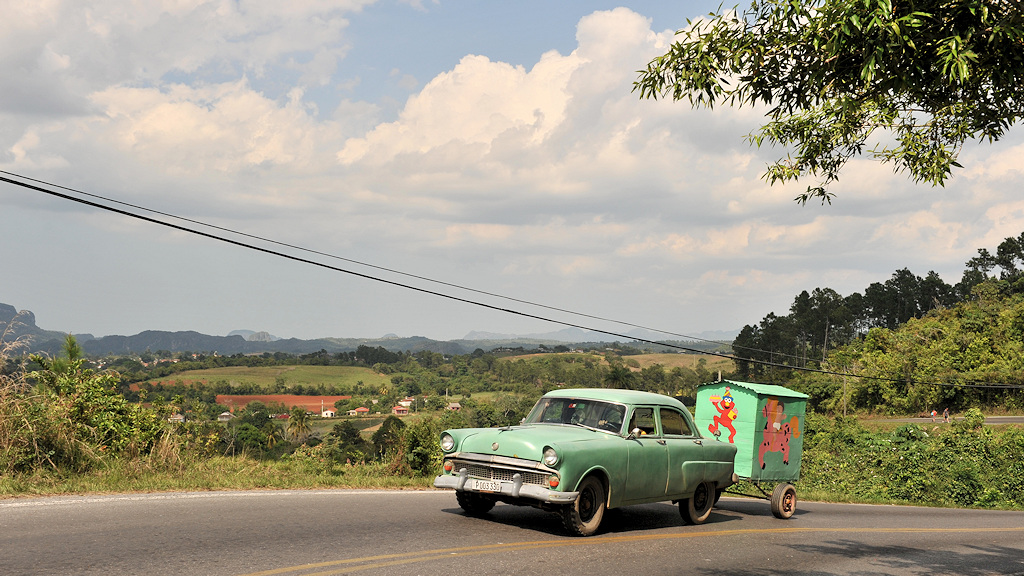 hellgrün im Valle de Vinales 6357