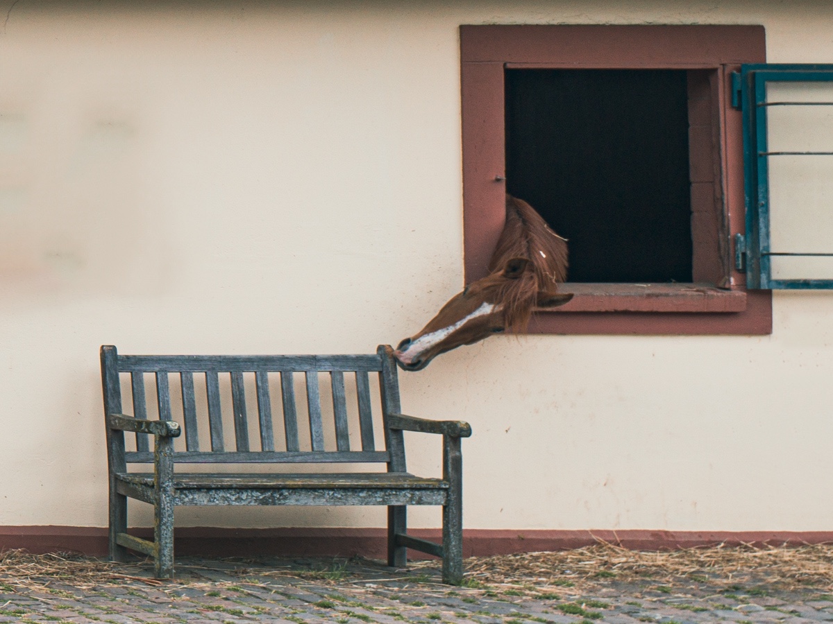 Her mit der Bank!