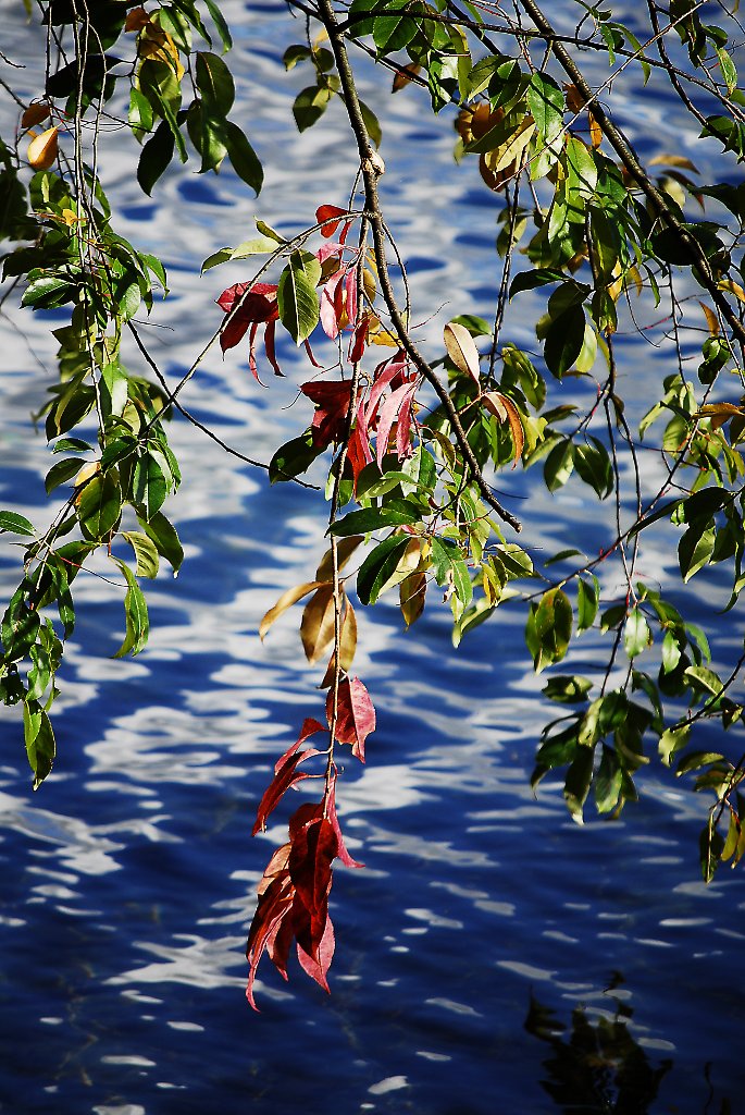 Herbst 0025 111013 685x1024 85
