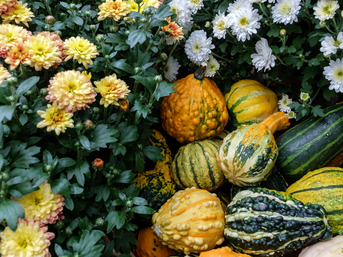 Herbst 01