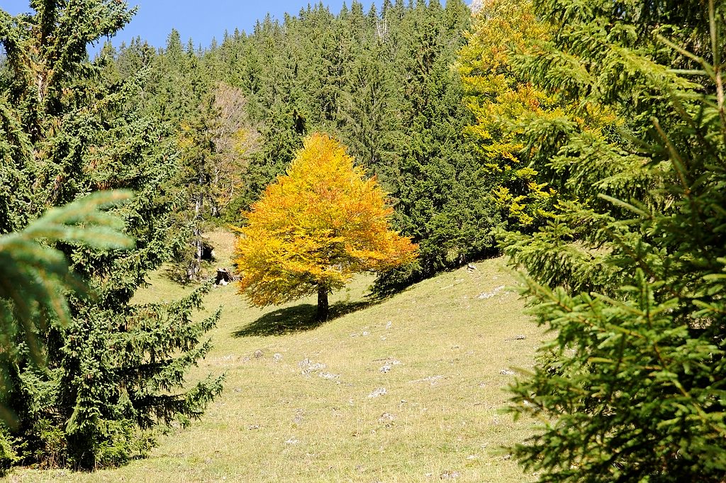 Herbst 01