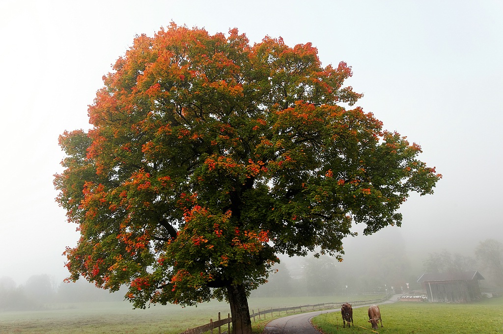 Herbst 02