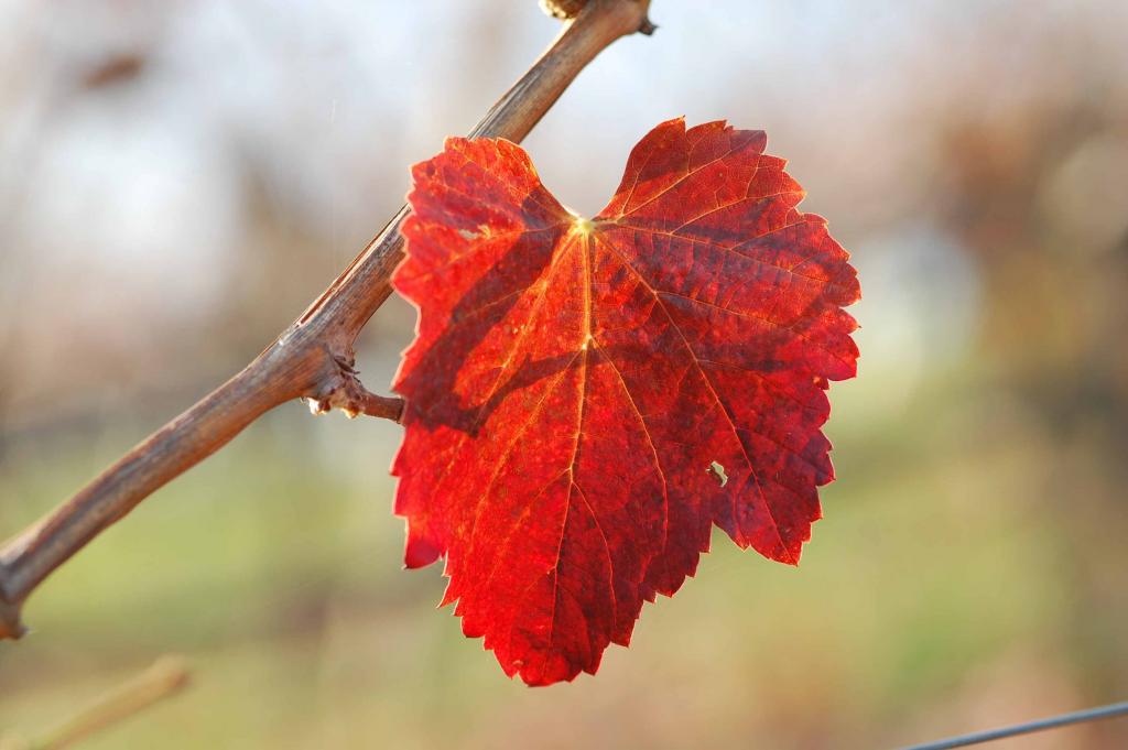 Herbst 04