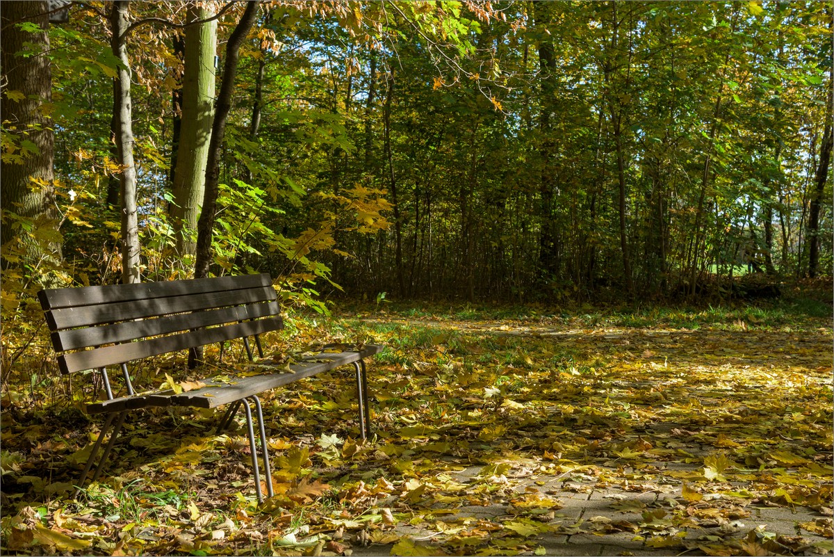 Herbst 05