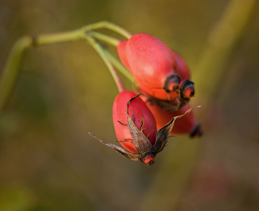 Herbst 05