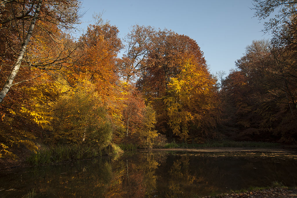 herbst 1