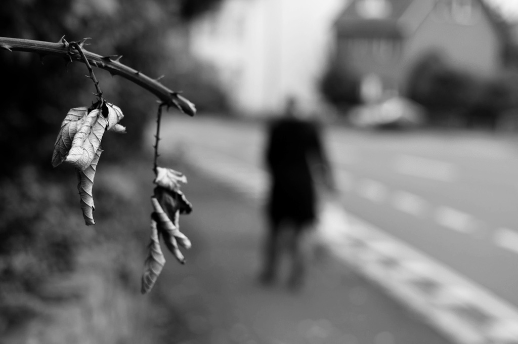 Herbst 1