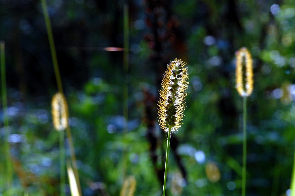 herbst 10