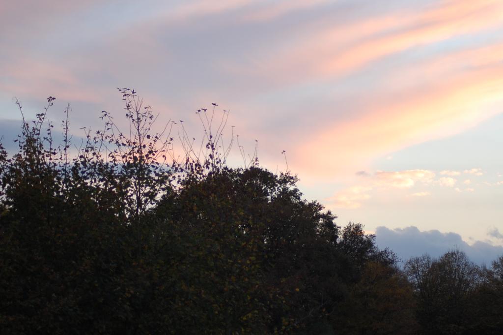 Herbst 2
