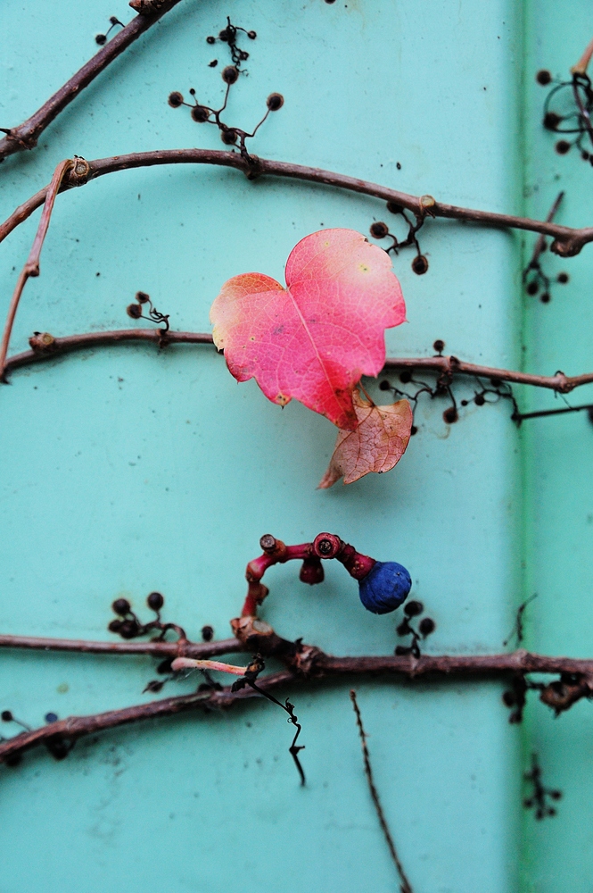 herbst 2