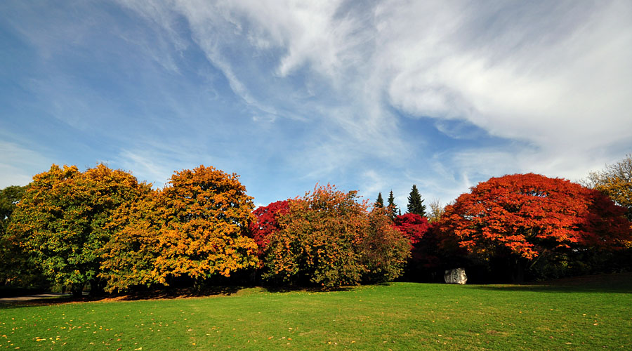 Herbst 2