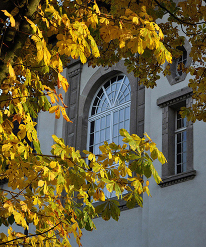 Herbst 2010 06 n.icon